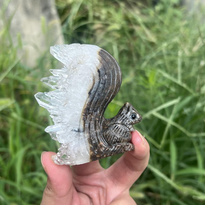 Clear Quartz Cluster Squirrel