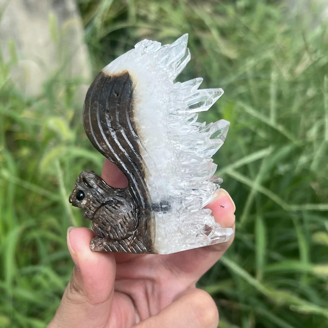 Clear Quartz Cluster Squirrel