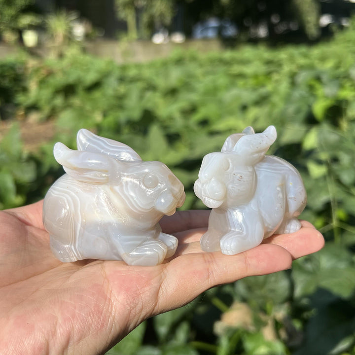 Agate Rabbit