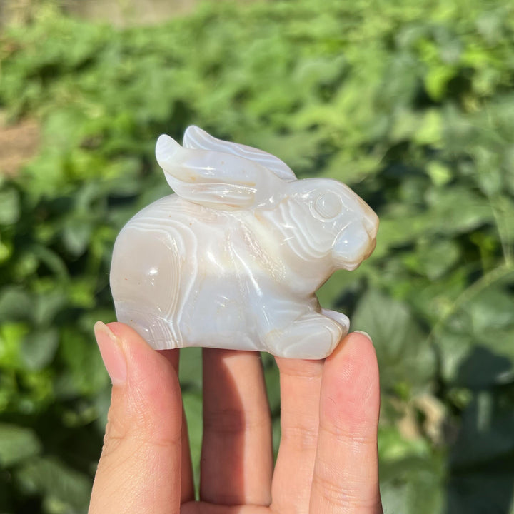 Agate Rabbit