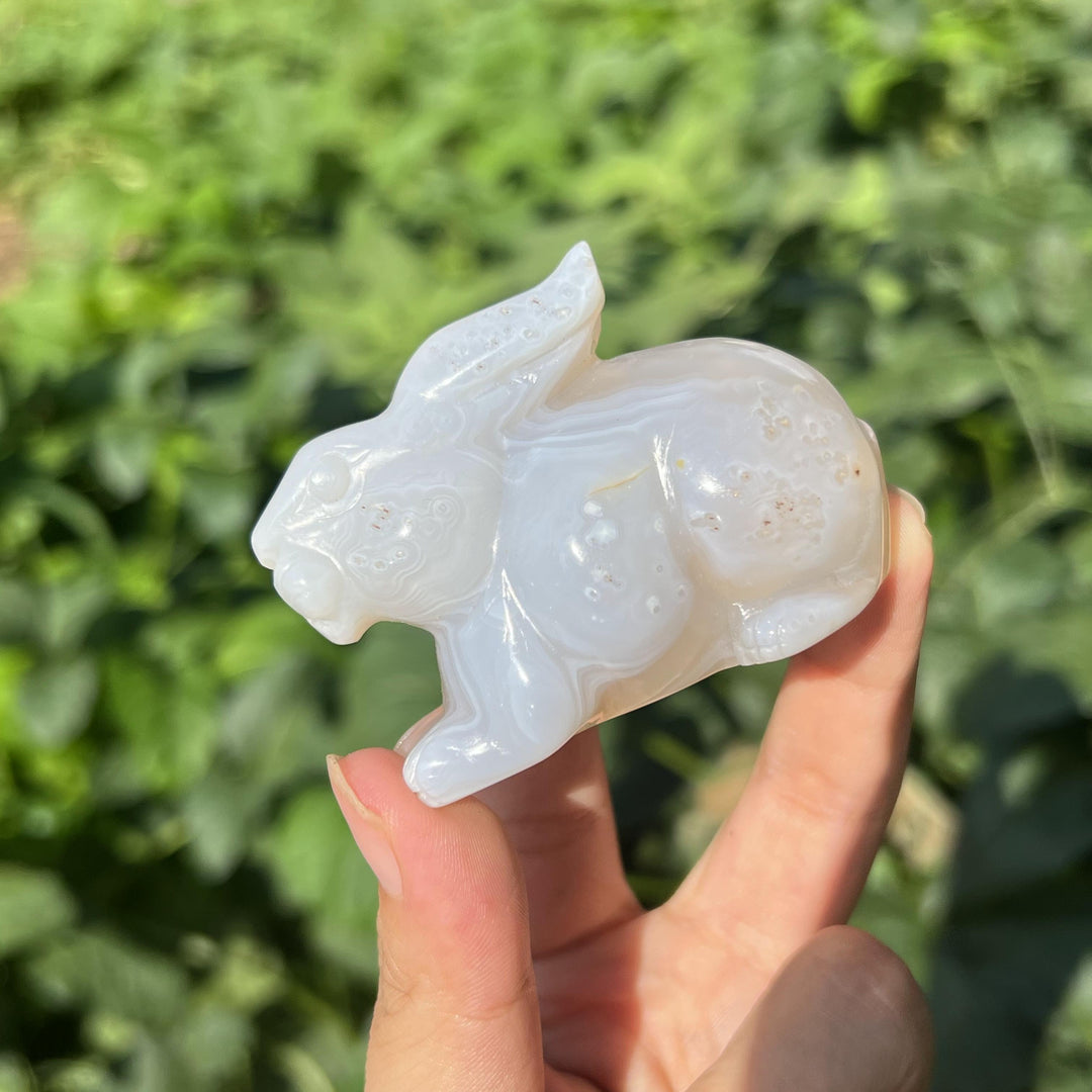 Agate Rabbit