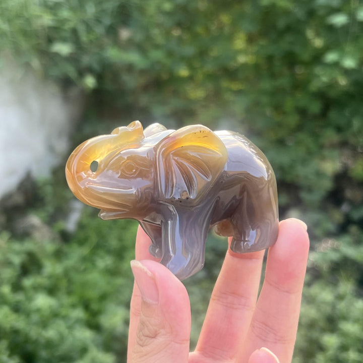 Agate Éléphant