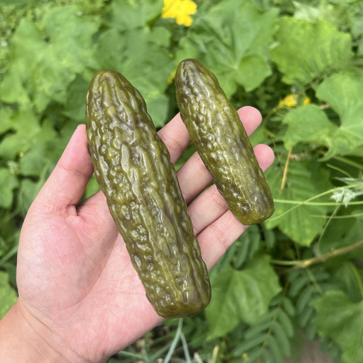 Xiuyan Jade Pickle