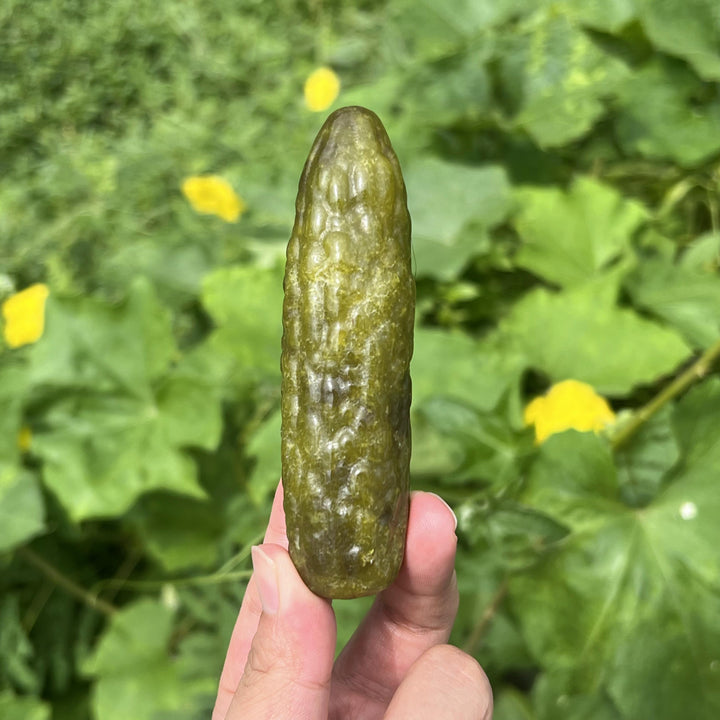 Cornichon de jade Xiuyan