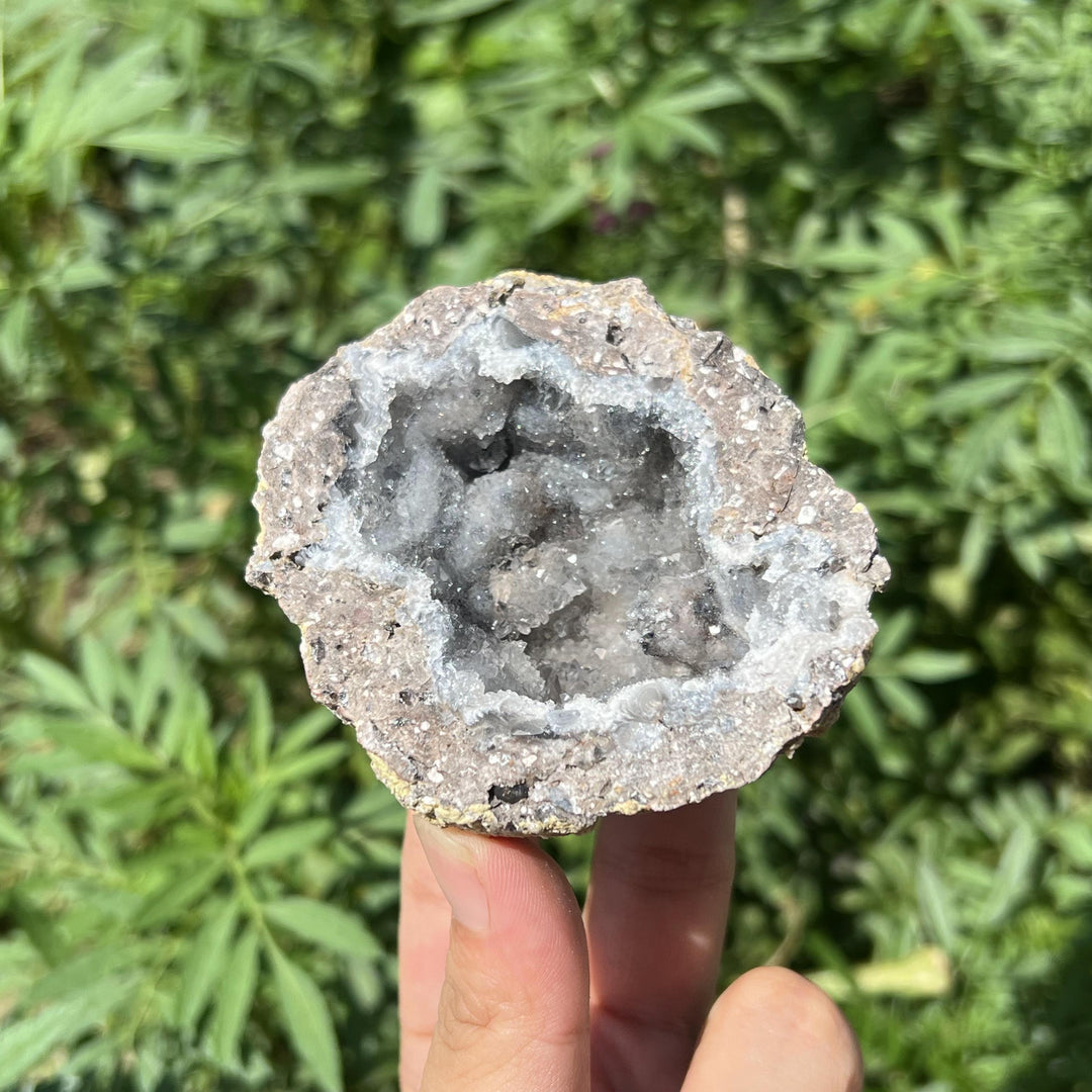 Mexican Agate Geode