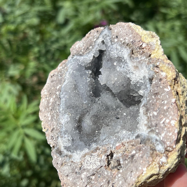 Mexican Agate Geode