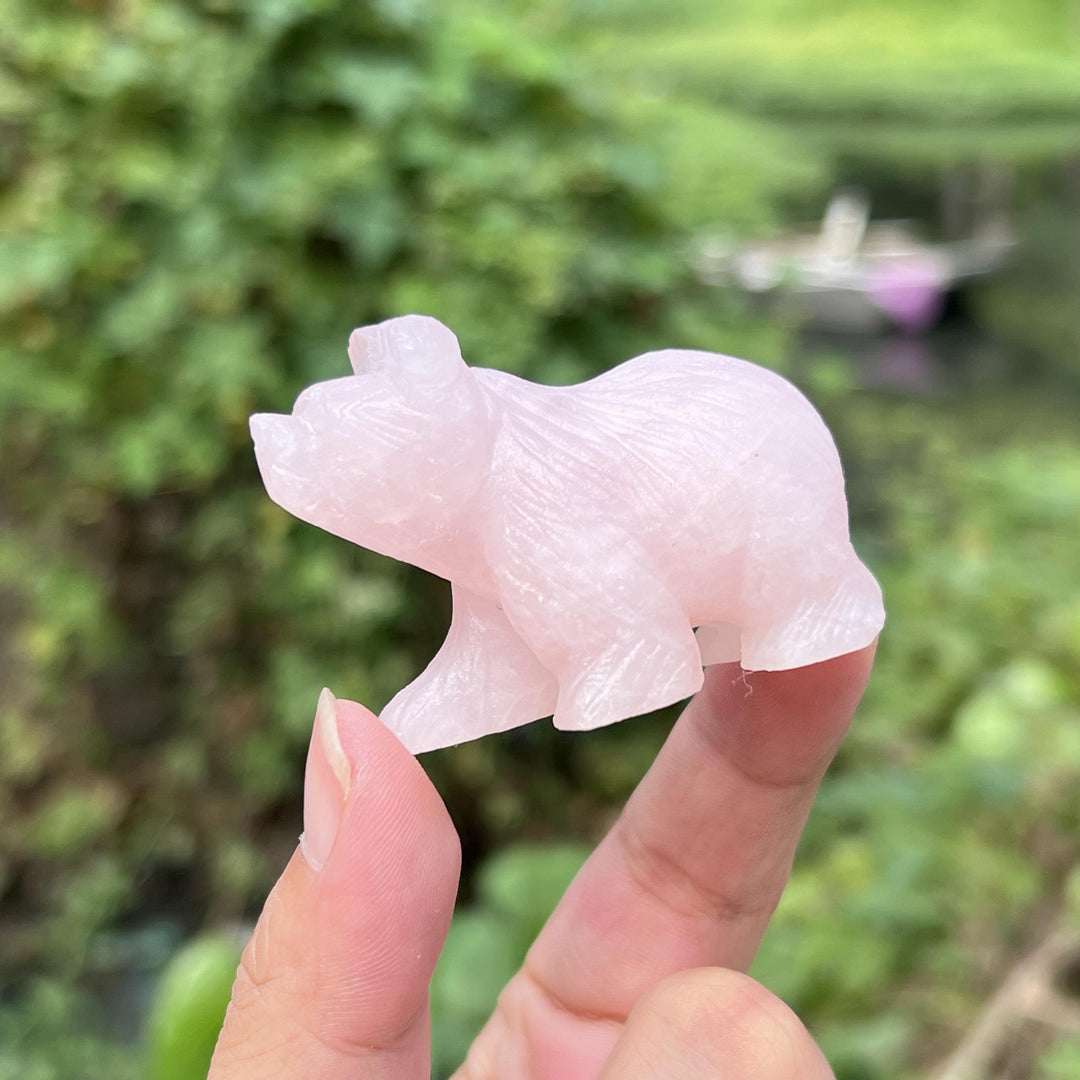 Crystal Bear