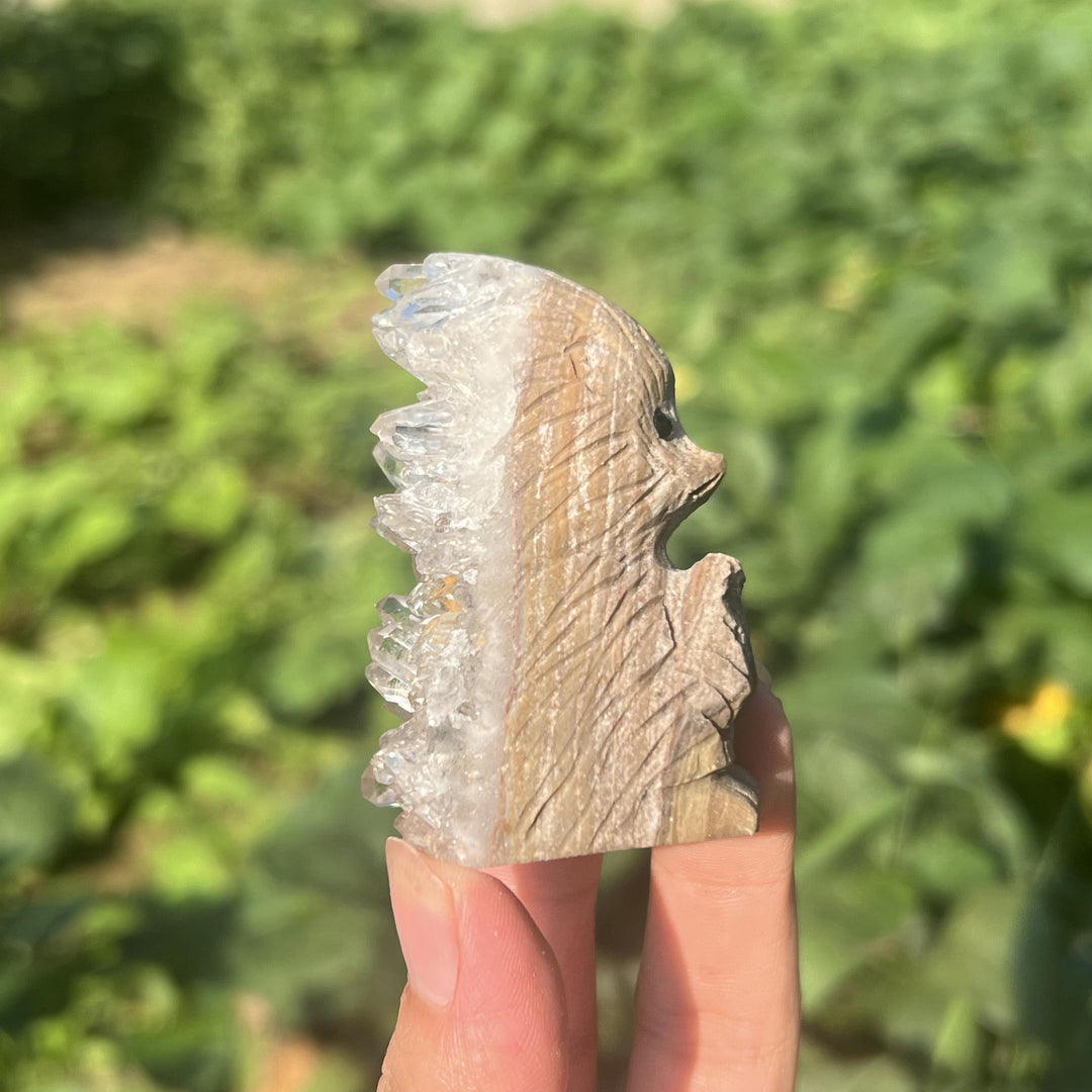 Clear Quartz Cluster Hedgehog