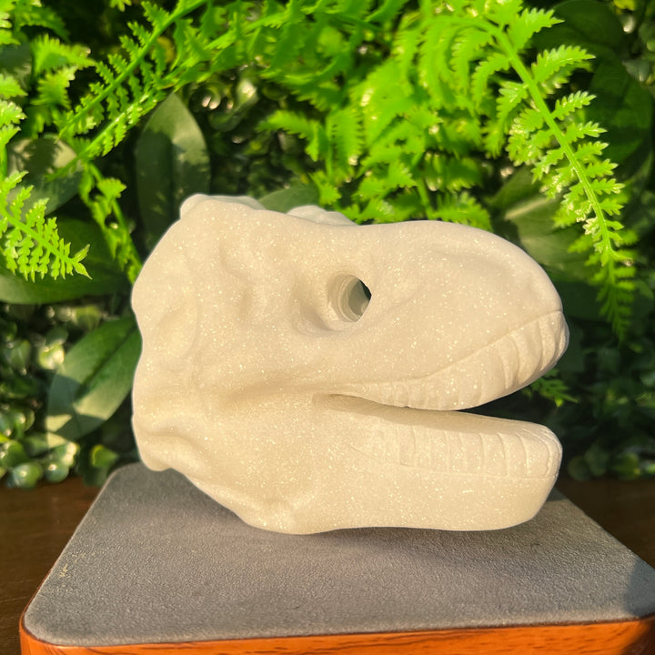 Tyrannosaurus Skull Carving