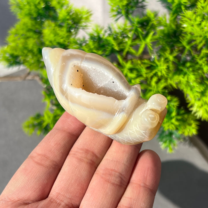 Agate Geode Snail