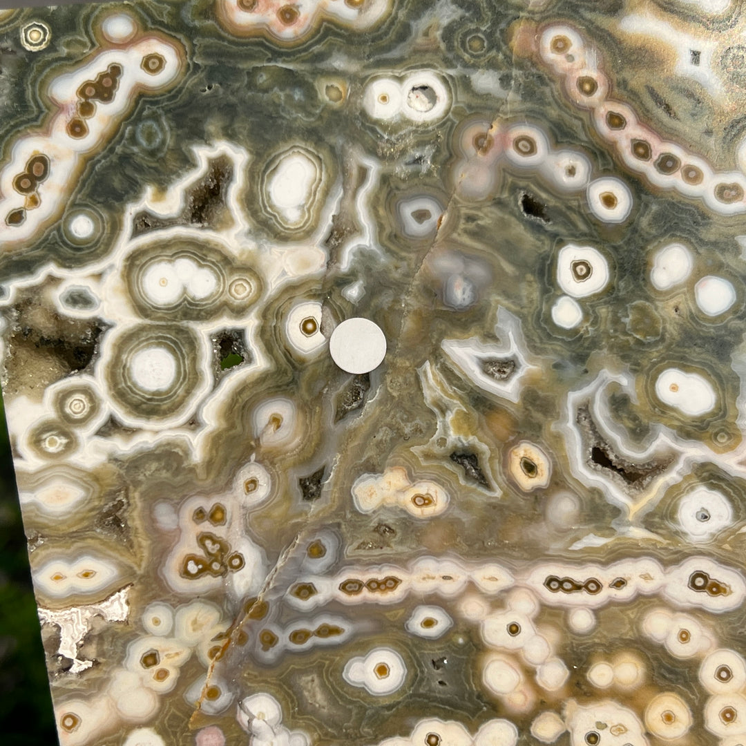 5th Vein Ocean Jasper Slice