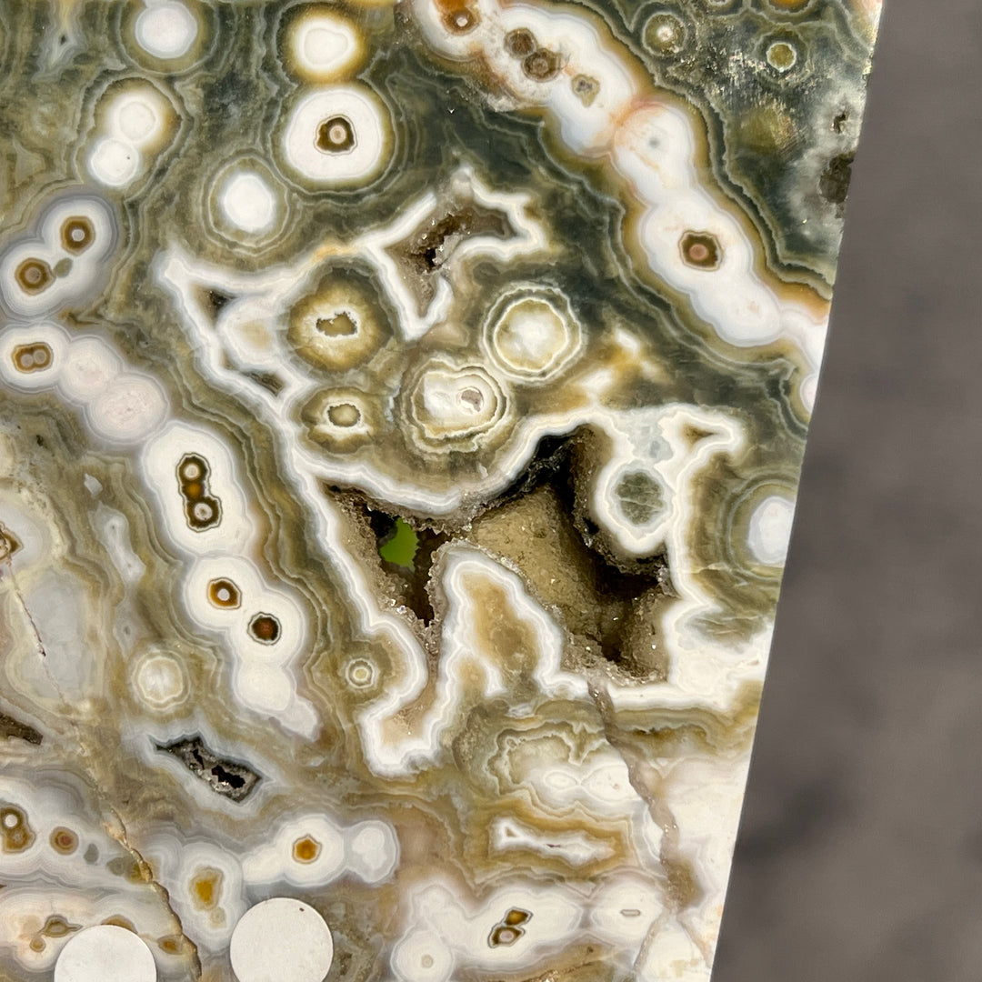 5th Vein Ocean Jasper Slice