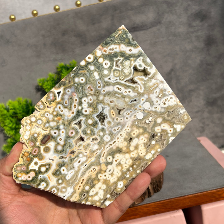 5th Vein Ocean Jasper Slice