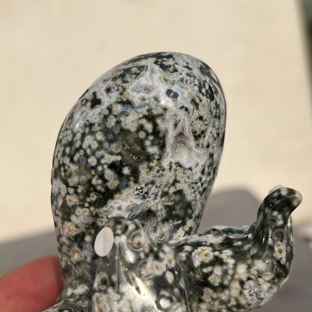 Ocean Jasper Octopus