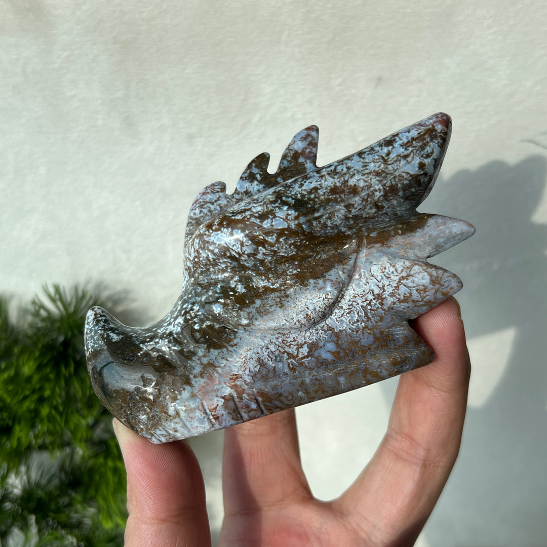 Ocean Jasper Dragon Skull