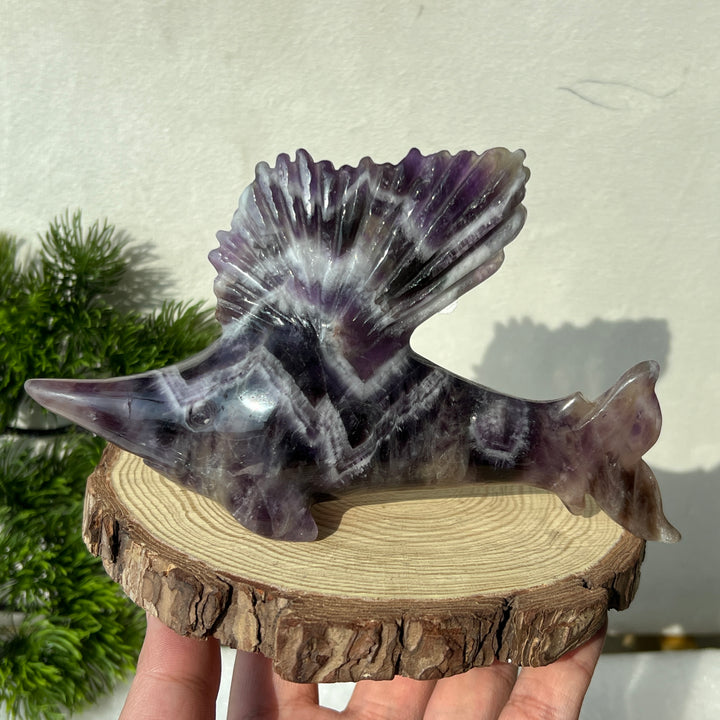 Dream Amethyst Sailfish