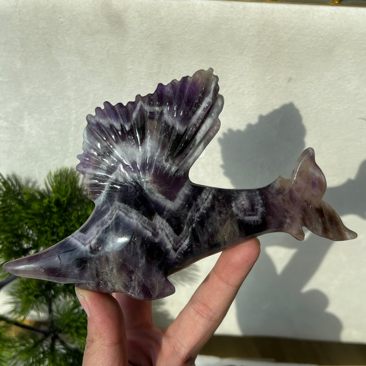 Dream Amethyst Sailfish