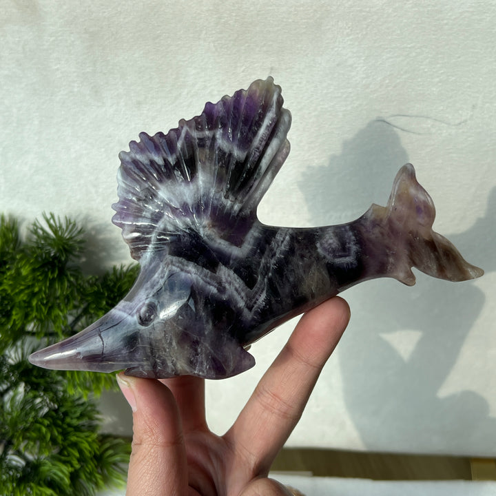 Dream Amethyst Sailfish