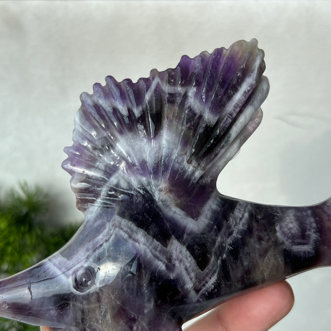 Dream Amethyst Sailfish