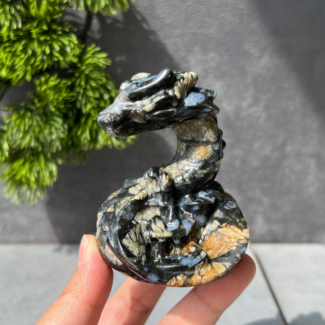 Ancient Dragon Carving-Pre-sell