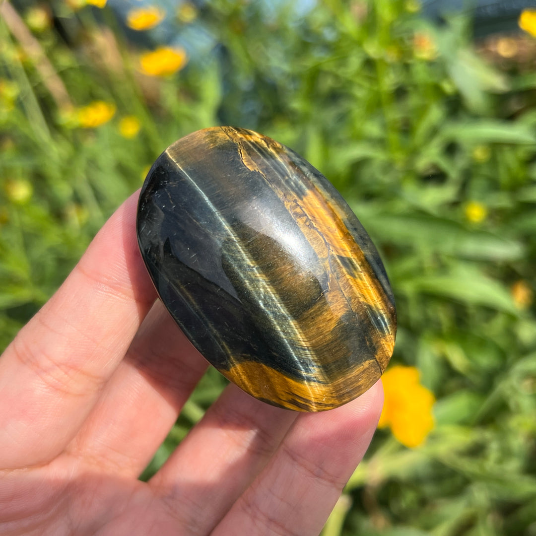 Tiger Eye Jasper Palm Stone