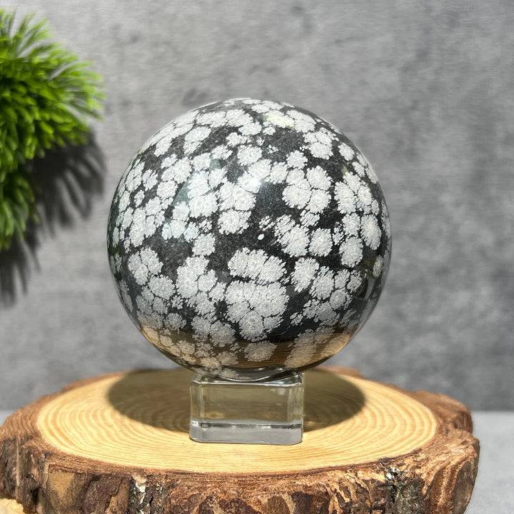 Transparent Glass Sphere Holder