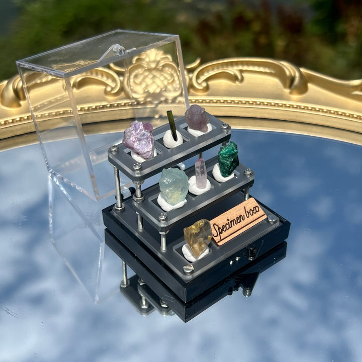 Mystery Specimen Box