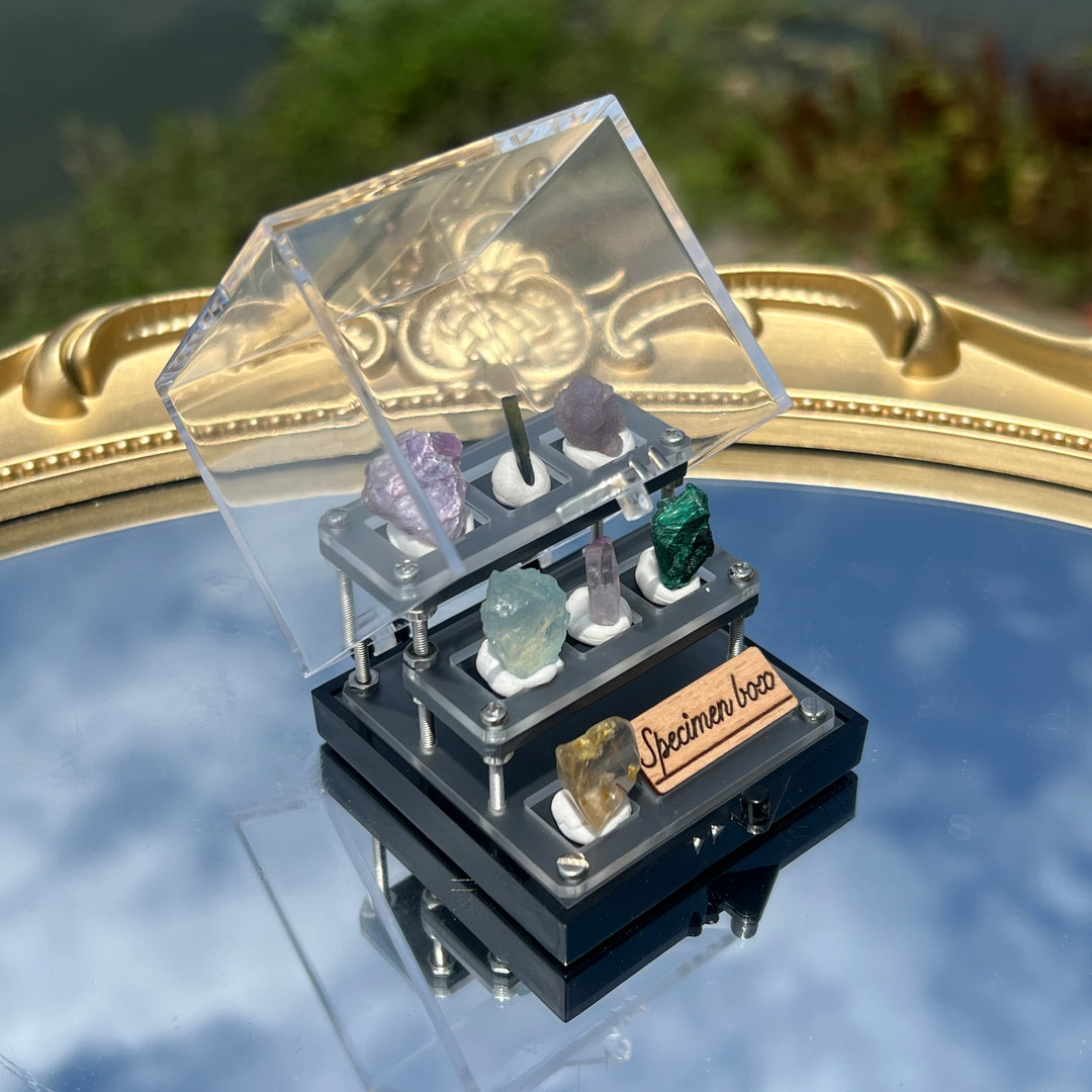 Mystery Specimen Box