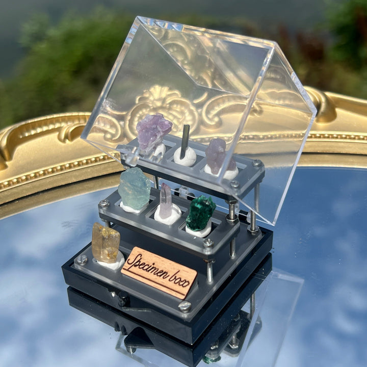 Mystery Specimen Box