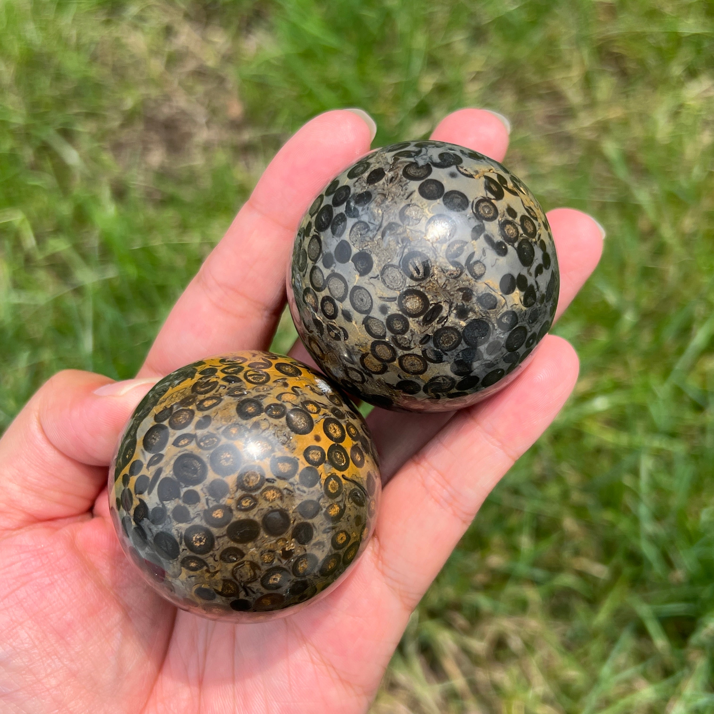 Black Leopard Skin Jasper Sphere – KiKi Crystal