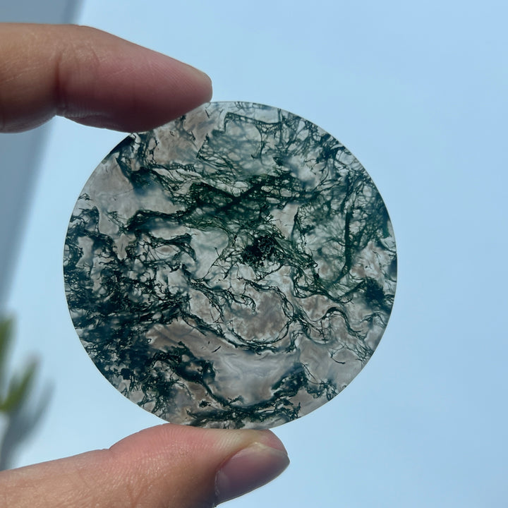 Moss Agate Disc Slice