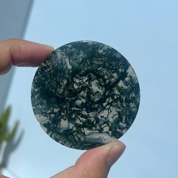 Moss Agate Disc Slice