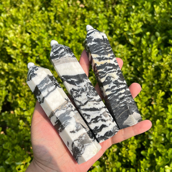 Black Zebra Jasper Point 140MM+