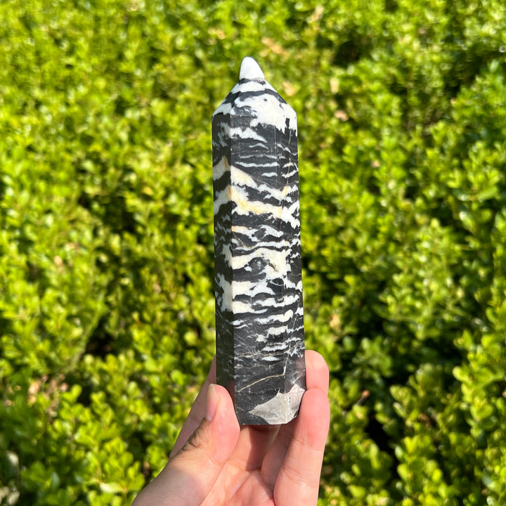 Black Zebra Jasper Point 140MM+