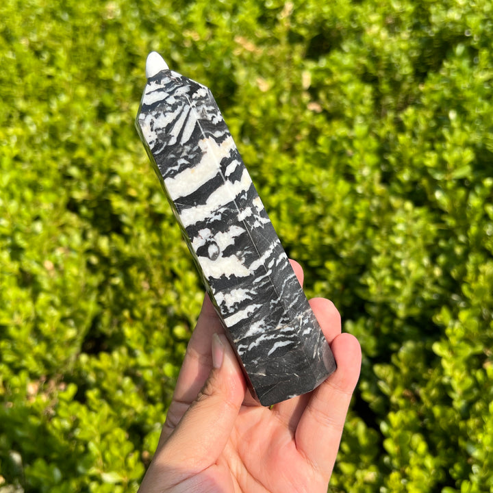 Black Zebra Jasper Point 140MM+