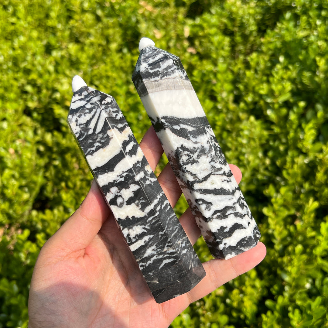Black Zebra Jasper Point 140MM+