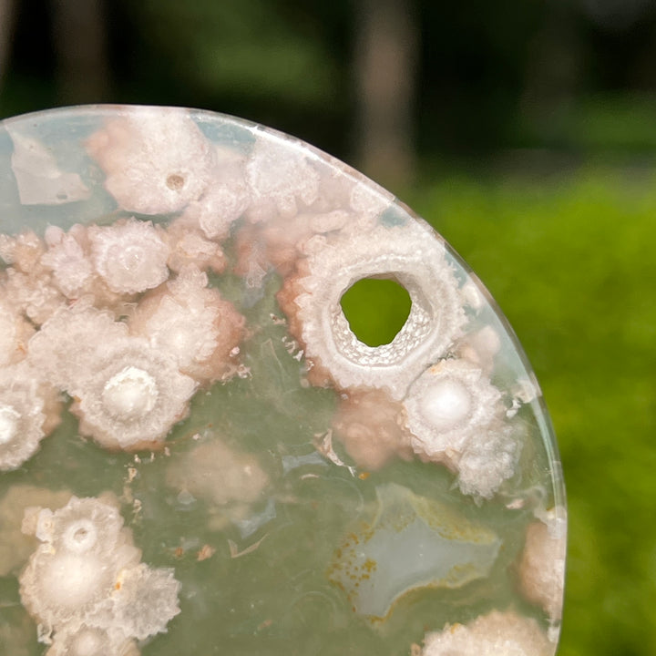 Flower Agate Disc Slice