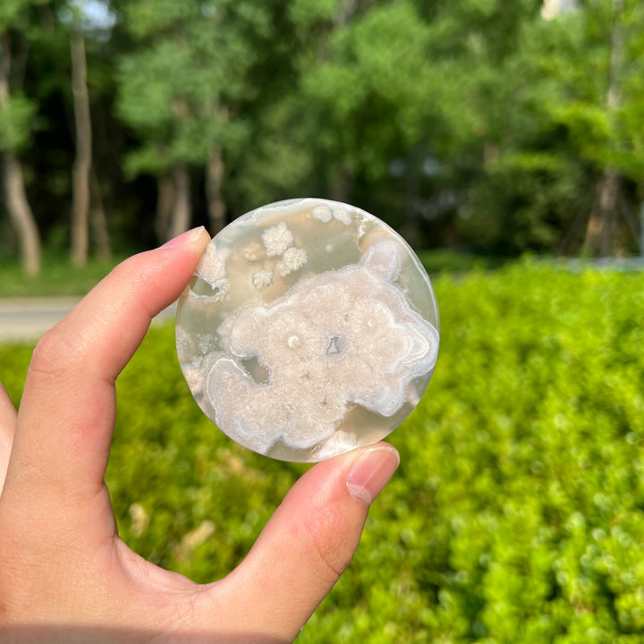Flower Agate Disc Slice