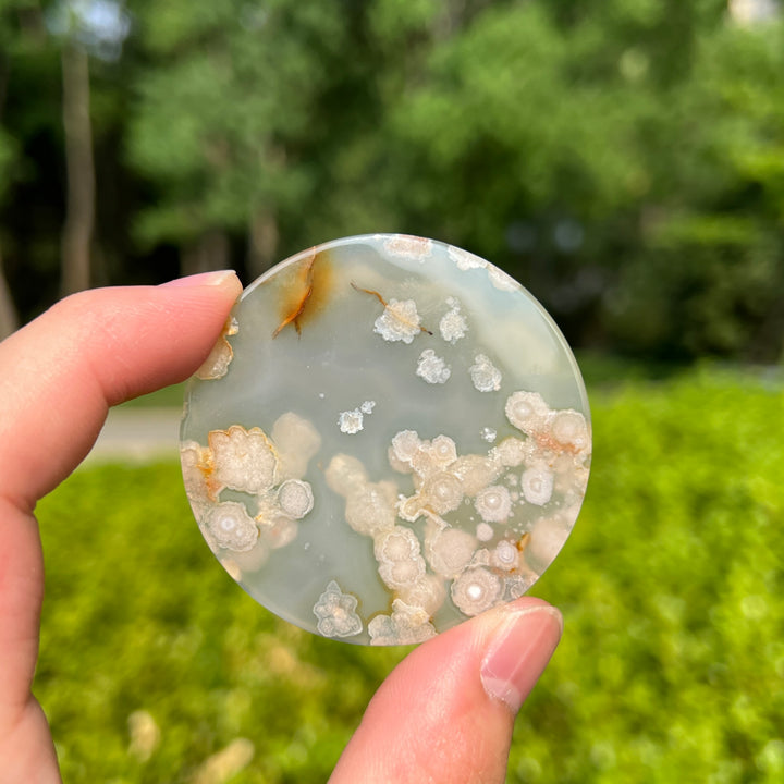 Flower Agate Disc Slice