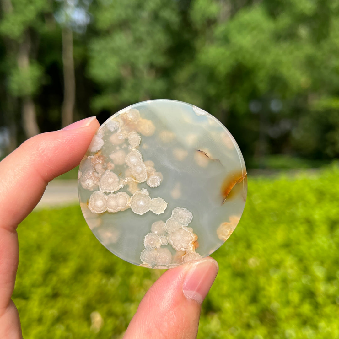 Flower Agate Disc Slice