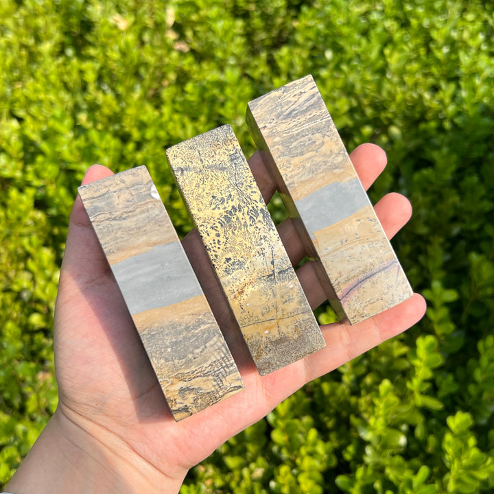Picture Jasper Paperweight