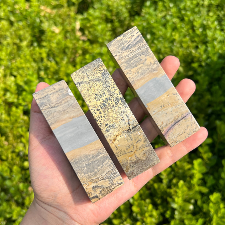 Picture Jasper Paperweight