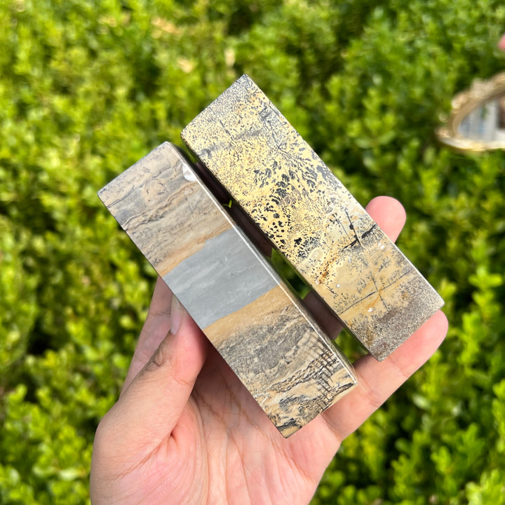 Picture Jasper Paperweight