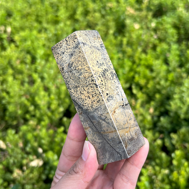 Picture Jasper Paperweight