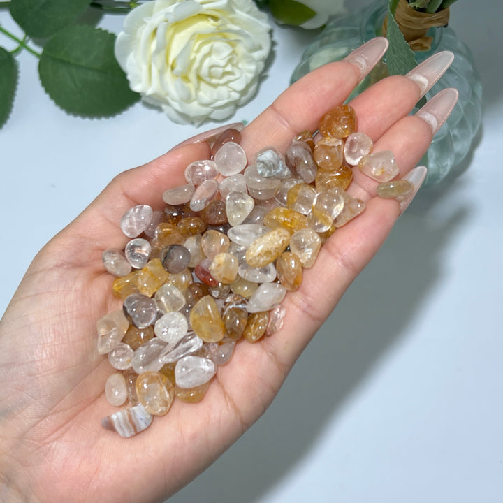 Crystal Chips