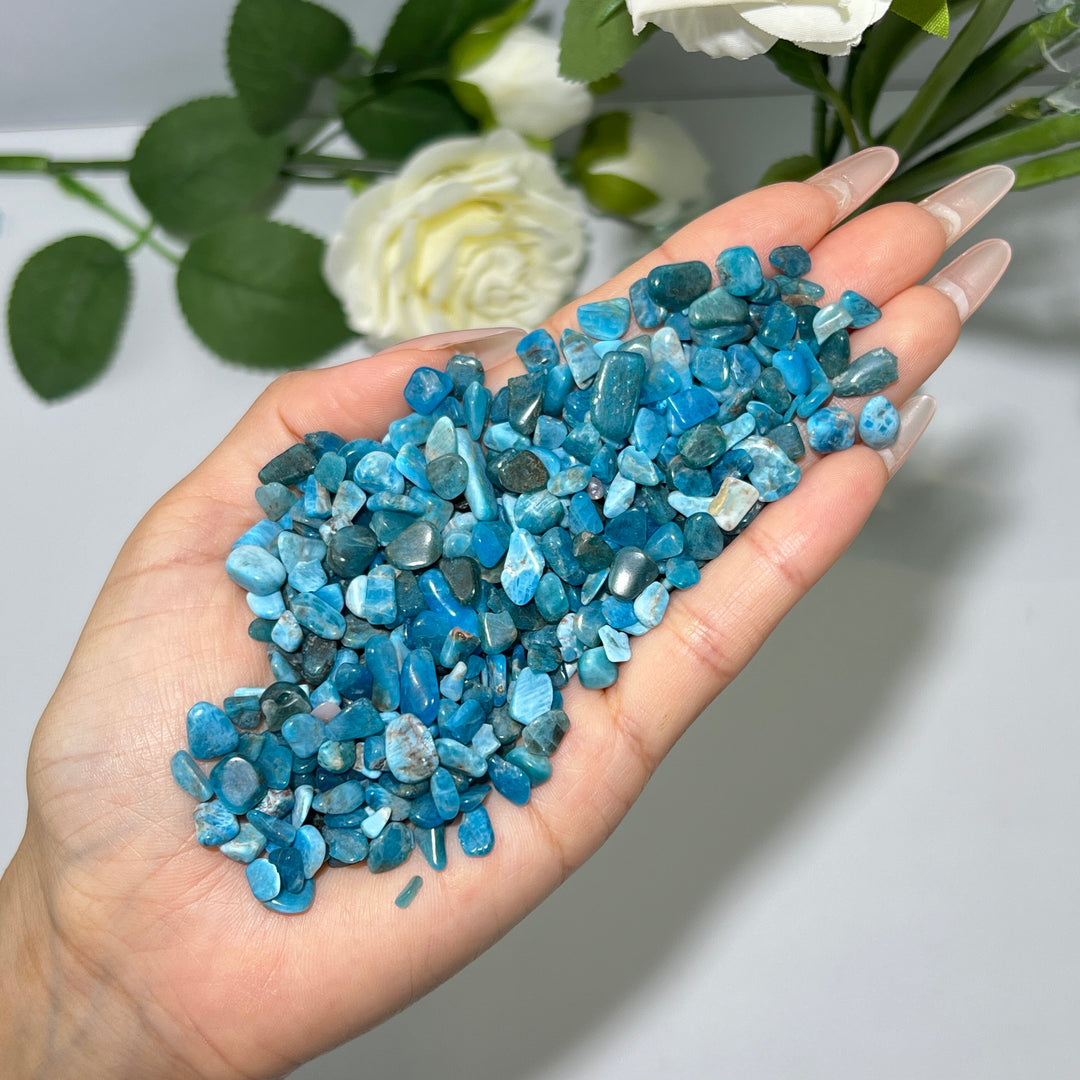 Crystal Chips
