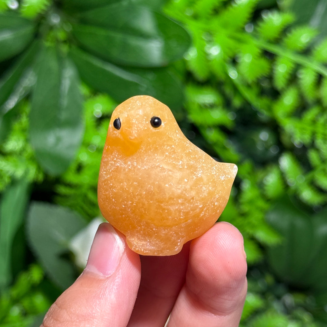 Miniature Chicken