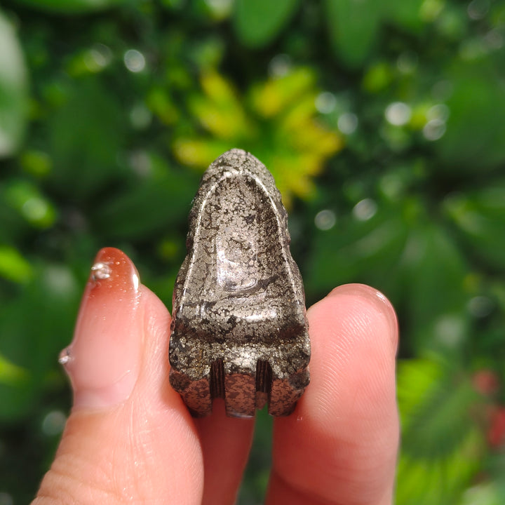 Pyrite Dragon Skull