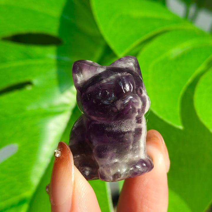 Dream Amethyst Mini Cat