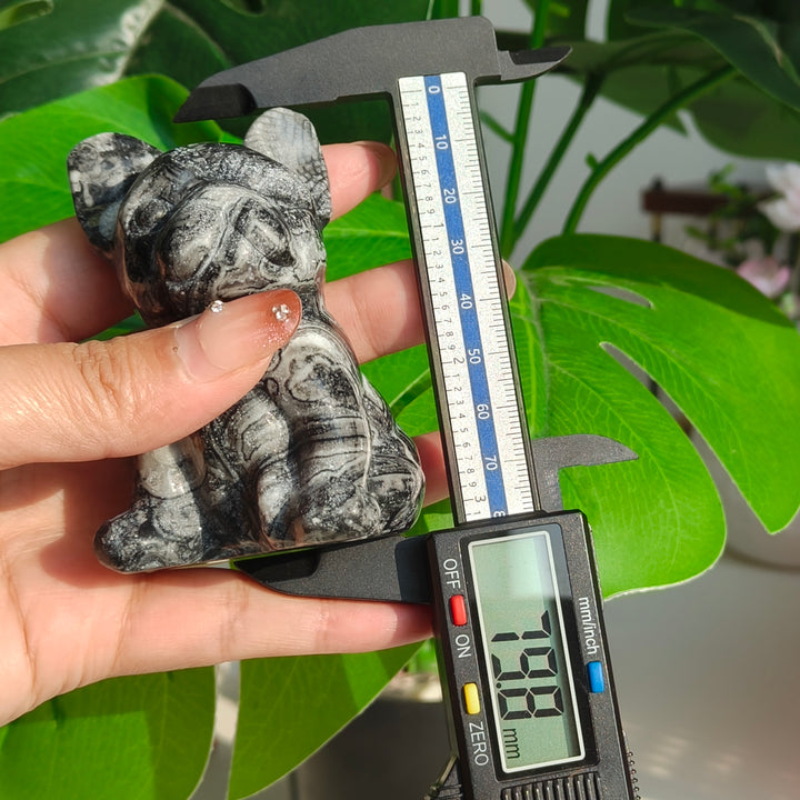 Ammonite Fossil Dog